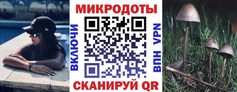 OMG   Дмитриев  Галлюциногенные грибы мицелий 